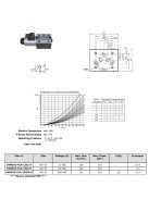 NG10 SOLENOID VALVE 12V